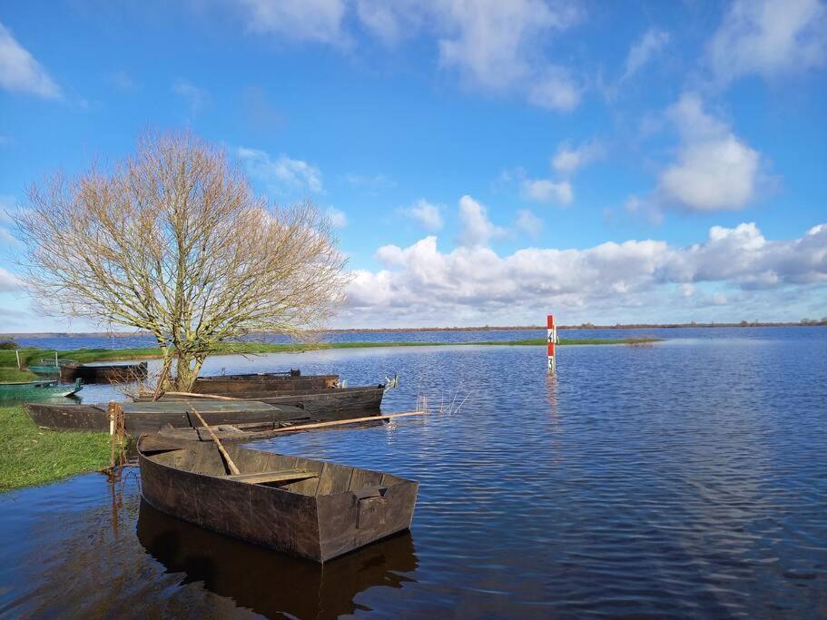 Lac Grand Lieu : Maisonnette Au Calme Avec Jardin Saint-Lumine-de-Coutais Dış mekan fotoğraf