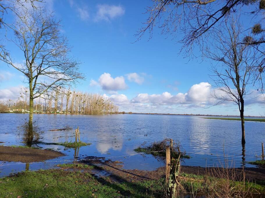 Lac Grand Lieu : Maisonnette Au Calme Avec Jardin Saint-Lumine-de-Coutais Dış mekan fotoğraf