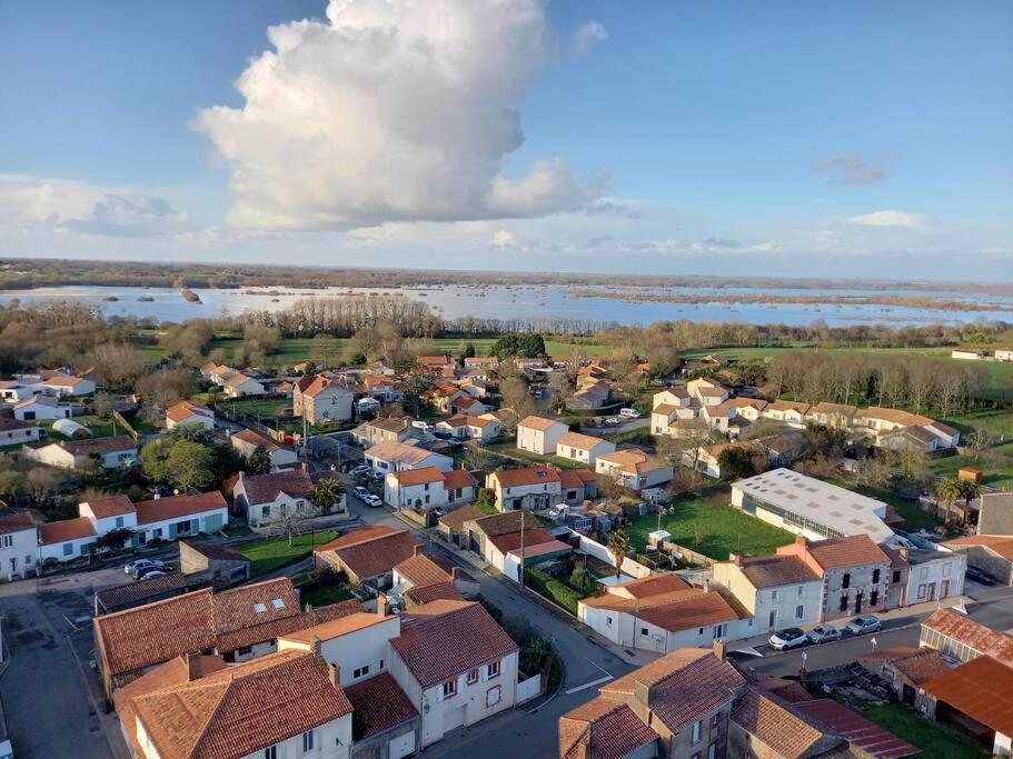 Lac Grand Lieu : Maisonnette Au Calme Avec Jardin Saint-Lumine-de-Coutais Dış mekan fotoğraf
